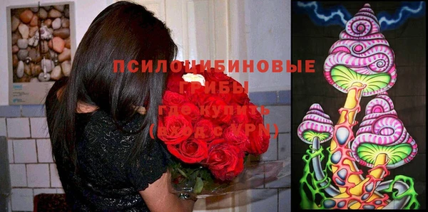 прущая мука Алзамай