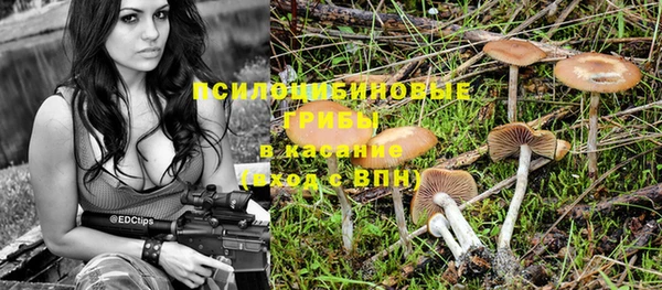 прущая мука Алзамай